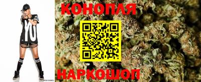 гашик Гай