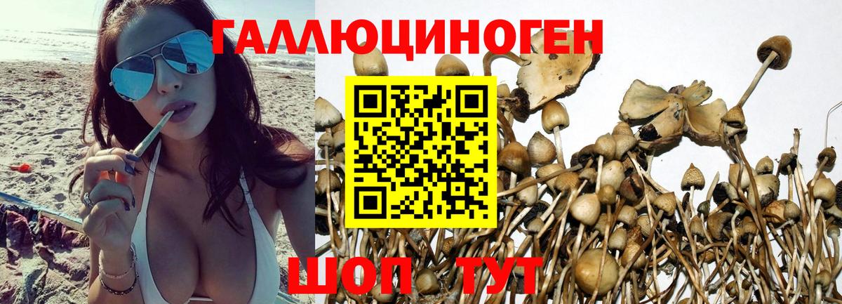 Галлюциногенные грибы мухоморы  Галлюциногенные грибы Magic Shrooms  даркнет сайт  Усть-Илимск  Вход с VPN 