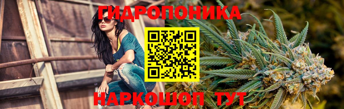 Усть-Илимск  Бошки Шишки гибрид  Бошки марихуана White Widow  Вход с VPN  Конопля марихуана  Канабис Bruce Banner 